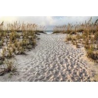 Path to the Beach  