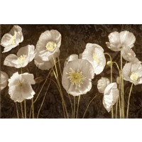 Ives Mccoll - Baroque Poppies  