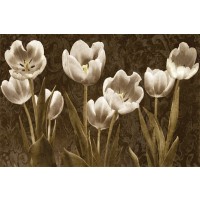 Ives Mccoll - Baroque Poppies II  