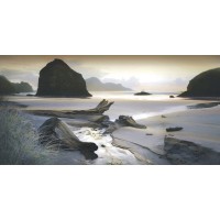 William Vanscoy - She Sleeps In The Sand-Ovsz  