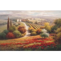 Vineyard View I  