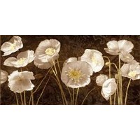 White and Yellow Flowers  