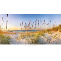 Doug Cavanah - Along The Strand - Ovsz  