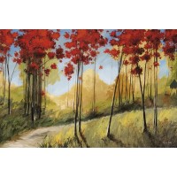 Thomas Andrew - Forest Trail  