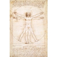 Leonardo Da Vinci - Vitruvian Man  
