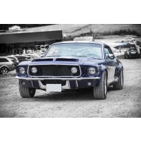 Ford - GT500