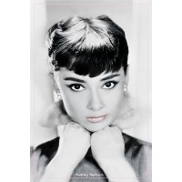Audrey Hepburn Children's Find  