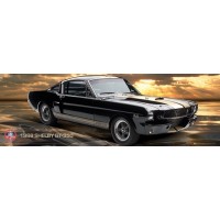 Ford Shelby - GT350  