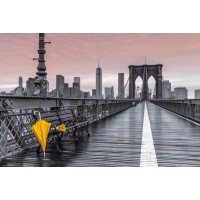 Umbrella Bridge  