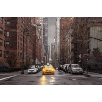 New York Taxi  