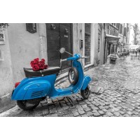 Scooter  