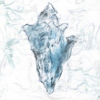 Blue Marble Coast Shell 