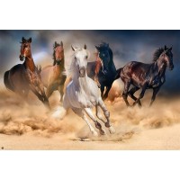 Running Horses 
