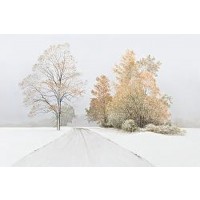 Autumn Snofall-Volkov  