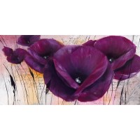 Isabelle Zacher-Finet - Pavot Violet II  