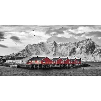 Rolf Fischer - Lofoten Nähe Reine Mit Roten Hütten  