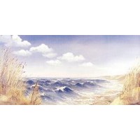 Panoramic Ocean  