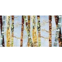 Bark Abstract-Carmen Dolce  
