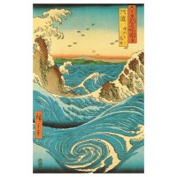 Zen Navaro Rapids  