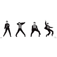 Elvis Presley Jailhouse Rock  