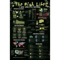 Level Of High Weed  