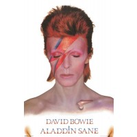 David Bowie Aladdin Sane  