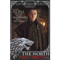 Game Of Thrones - Winter is Coming 
