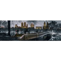 New York Bow Bridge Central Park  