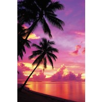 Tahitian Sunset  