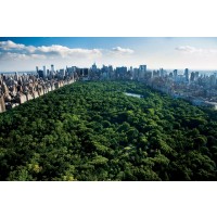 Central Park, New York  