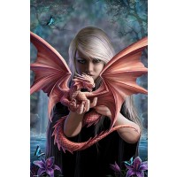 Anne Stokes - Dragonkin  