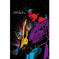 Jimi Hendrix  