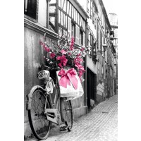 Pink Flowers  