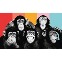 The Chimp Compliation  