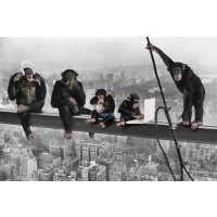 The Chimp - Girder  