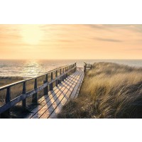 Way To The Sea  