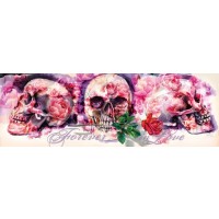 Pink Skulls  