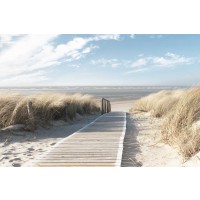 Beaches  