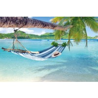 Tropical Hammock  