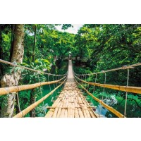 Jungle Bridge  