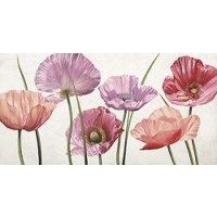 Pink Flowers  