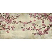 Cherry Blossom  