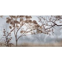 John Seba - Early Morning Mist I 