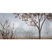 John Seba - Early Morning Mist II 