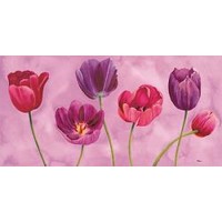 Pink Primavera  