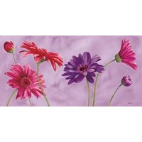 Purple Primavera  