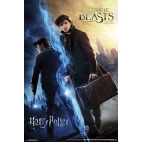 Fantastic Beasts - Wizarding World 