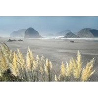 Pampas Beach  
