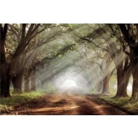Mike Jones - Evergreen Plantation  