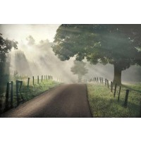 Todd Mcphetridge - Misty  